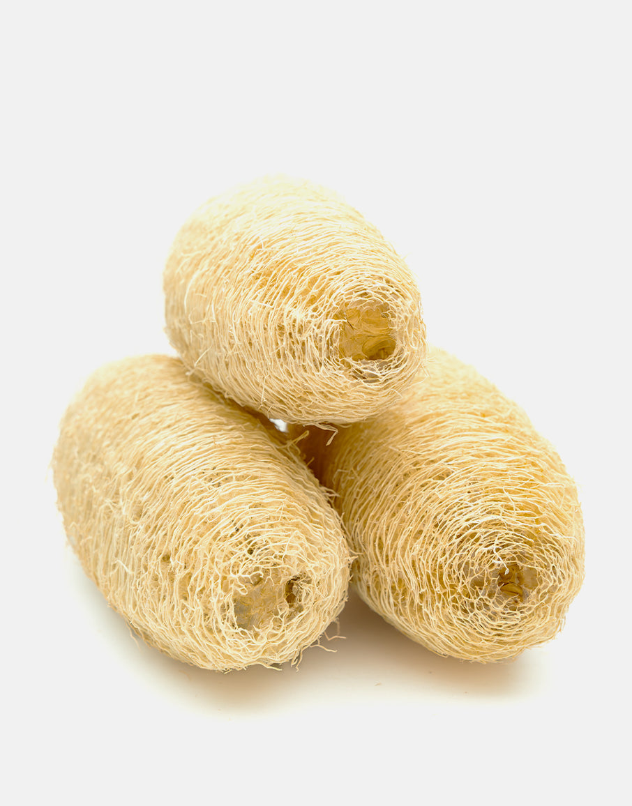 Loofah